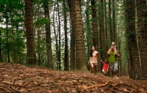 Sleeping Giant Trail