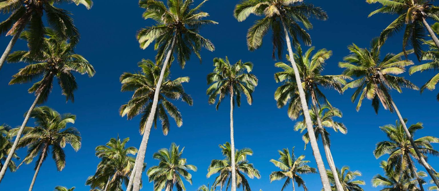 The Royal Coconut Coast on Kauai, Hawaii