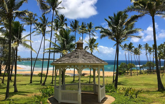 Weddings On Kauia S Royal Coconut Coast