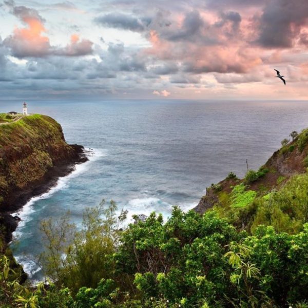 The Royal Coconut Coast on Kauai, Hawaii