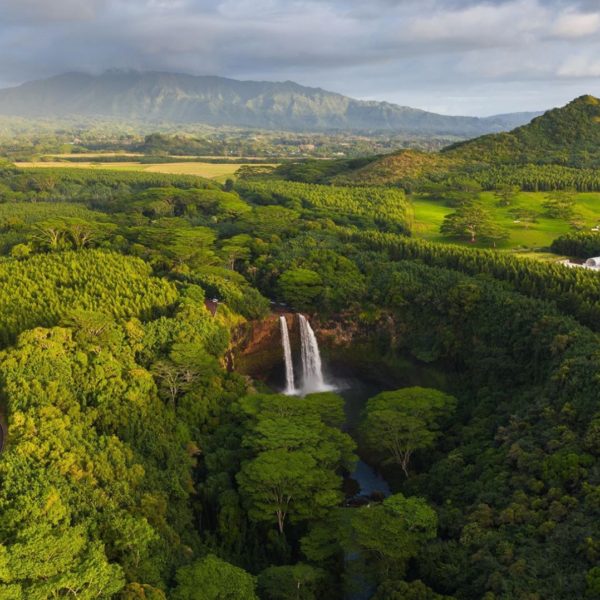 The Royal Coconut Coast on Kauai, Hawaii