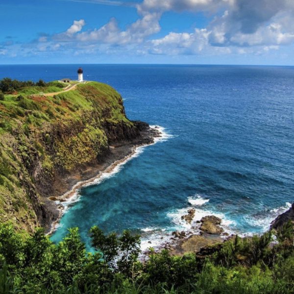 The Royal Coconut Coast on Kauai, Hawaii