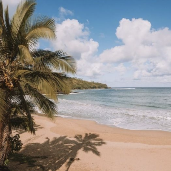 The Royal Coconut Coast on Kauai, Hawaii