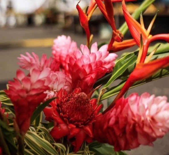 Flowers at the Kauai Farmer's Market.