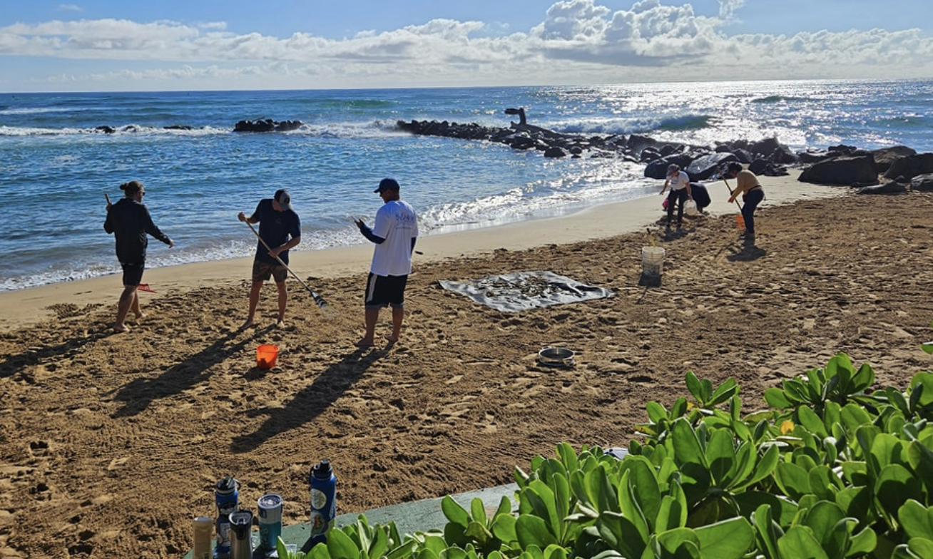 Lydgate Beach, Morgan's Pond, Kauai Volunteer Efforts
